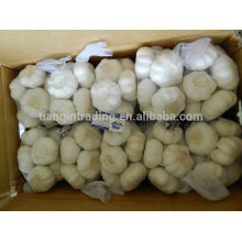 Jinxiang Crop New Garlic Package 500 g / bolsa, 1 kg / bolsa